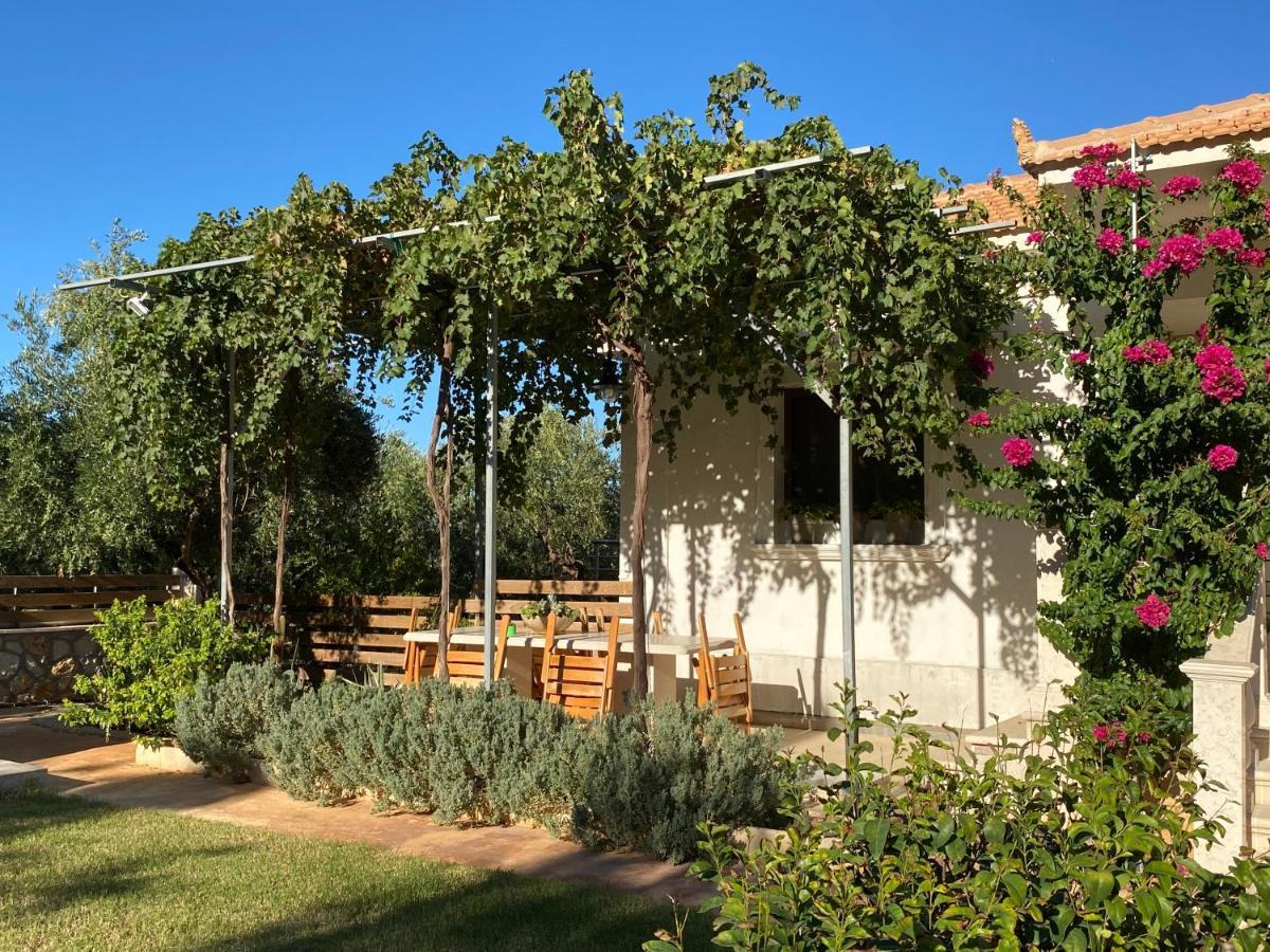 Villa Serenity Agia Marina  Esterno foto
