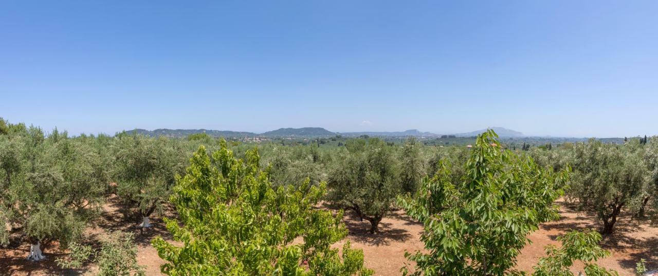 Villa Serenity Agia Marina  Esterno foto