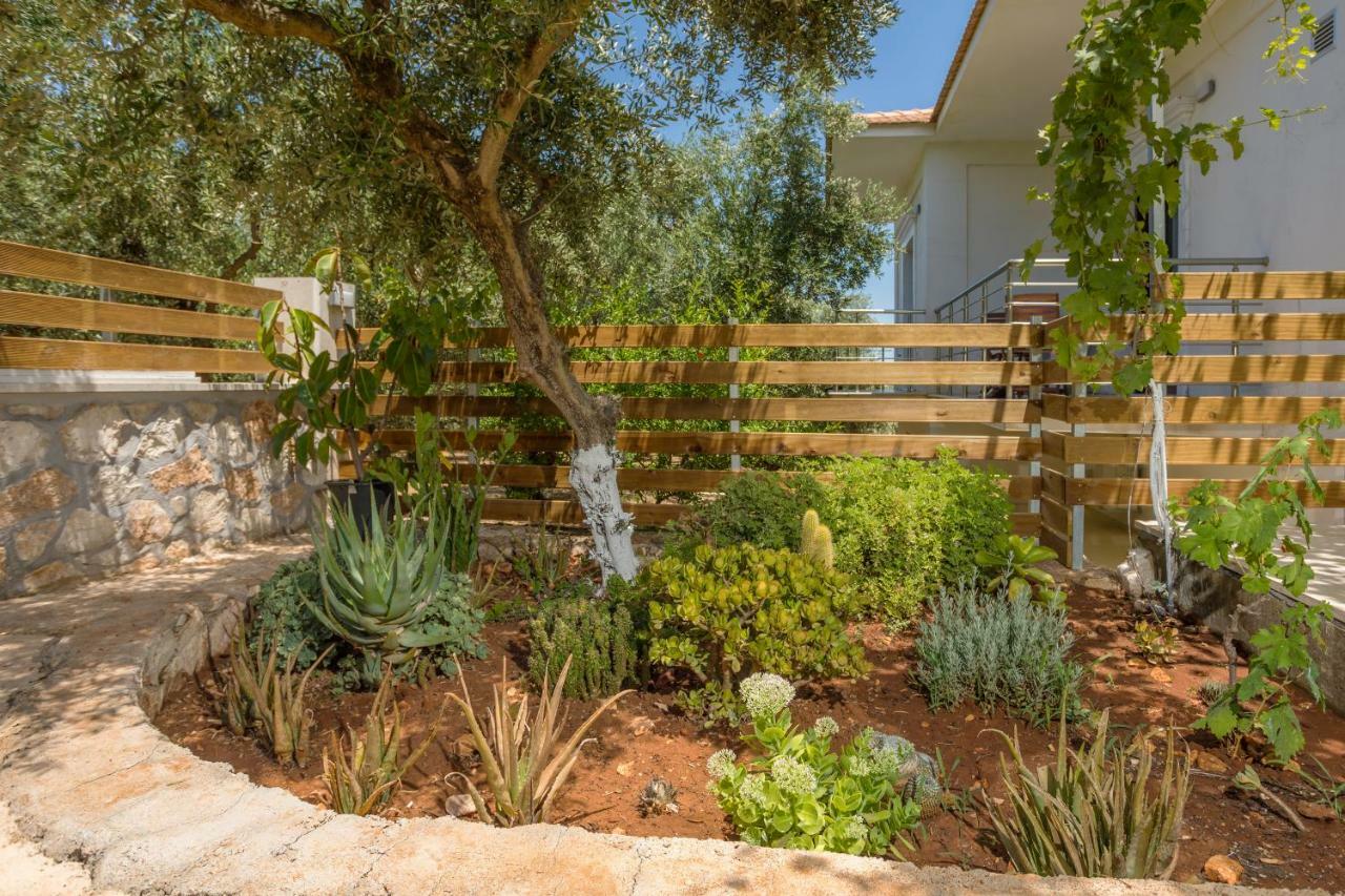 Villa Serenity Agia Marina  Esterno foto